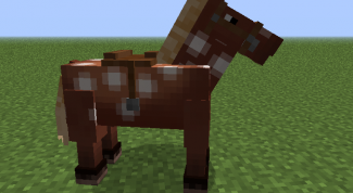 They eat horses in minecraft