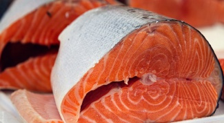 What distinguishes the salmon from the salmon