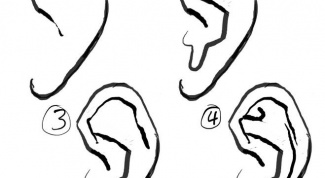 Как нарисовать ухо человека карандашом поэтапно 