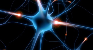 Что такое нейропластичность