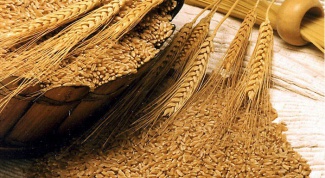 Как приготовить отвар из пшеничных отрубей