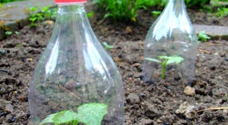 How to use empty plastic bottles