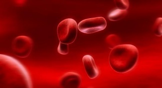 Каковы нормы анализа крови