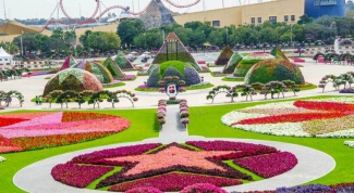 Арабское чудо света: парк цветов в Дубае 