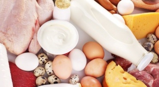 Чем отличается молочный белок от мясного белка 