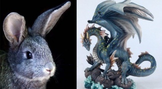 Восточный гороскоп совместимости: Дракон и Кролик