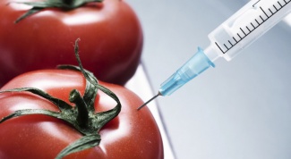 Чем вредны генетически модифицированные продукты