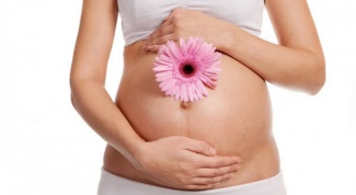 Шейка матки при беременности 