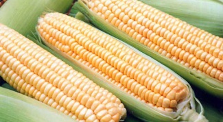 Как правильно выбрать кукурузу в початках