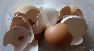 How to make fertilizer from eggshell