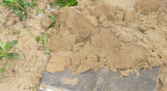 How to improve sandy soil