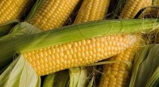 Как приготовить кукурузу в початках