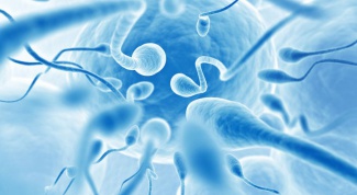 Как увеличить выработку спермы
