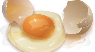 Where there is more protein in the yolk or in the whites 