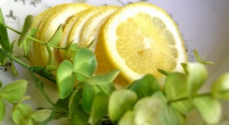 Что такое лимонно-эвкалиптовая противопаразитарная чистка 