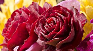 Красивая овощная нарезка: розы из свеклы