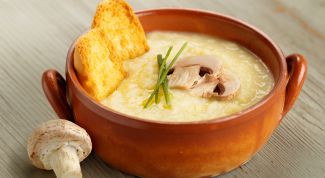  Рецепт пикантного супа с сыром и шампиньонами