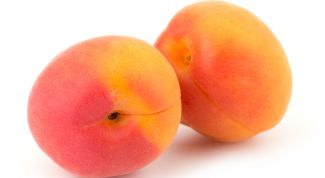 Бархатистый абрикос. Полезные свойства, вред и противопоказания