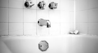 Грибок в ванной комнате: эффективные средства избавления