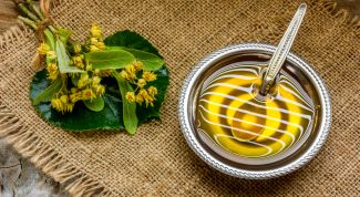 Целебный липовый мед: советы по лечению, оказываемые эффекта, вредные и полезные свойства