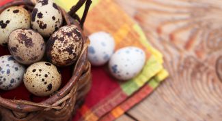 Диетические перепелиные яйца. В чем ценность продукта?