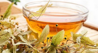 Липовый чай: состав и полезные свойства