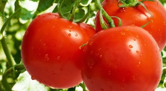 Надо ли томаты подкармливать йодом