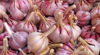 When to remove garlic winter