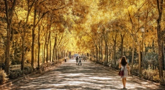Отдых в Испании: Севилья - парк Марии Луизы