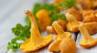 How to cook the chanterelles until tender