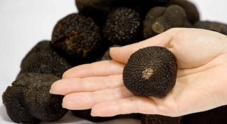 Why are truffles so expensive?