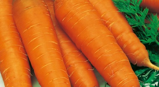Почему морковь вырастает горькой