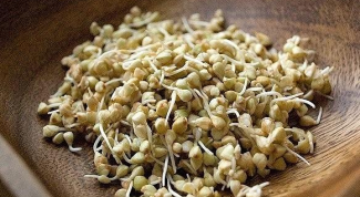 The healing properties of sprouted buckwheat