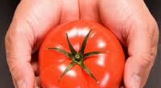 Как правильно сохранить помидоры