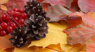 Какие поделки можно сделать из природного материала на тему осень