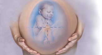 Why amniotic fluid