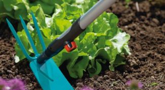 Stealth gardener: determination of type of soil to weeds and wild plants