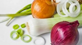 The use of onions in folk medicine