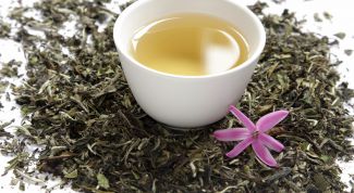 Everything you need to know about white tea