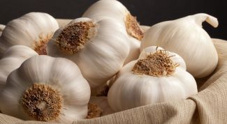 How garlic affects the body