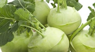 Kohlrabi. What is useful and how to cook