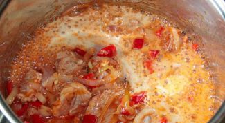 Goulash with beer 