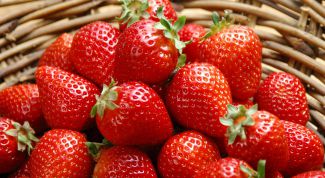 5 components of an excellent crop of strawberries 