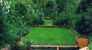 Landscaping the narrow portion