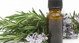 Properties of rosemary essential oil