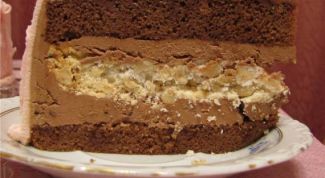 Chocolate cake with meringue