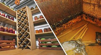 The need and design features of earthen cellars