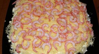 Pink shrimp salad
