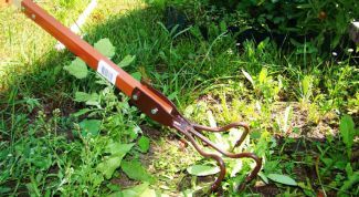 How to get rid of weeds without chemicals