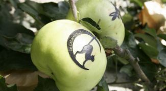 Как маркировать яблоки